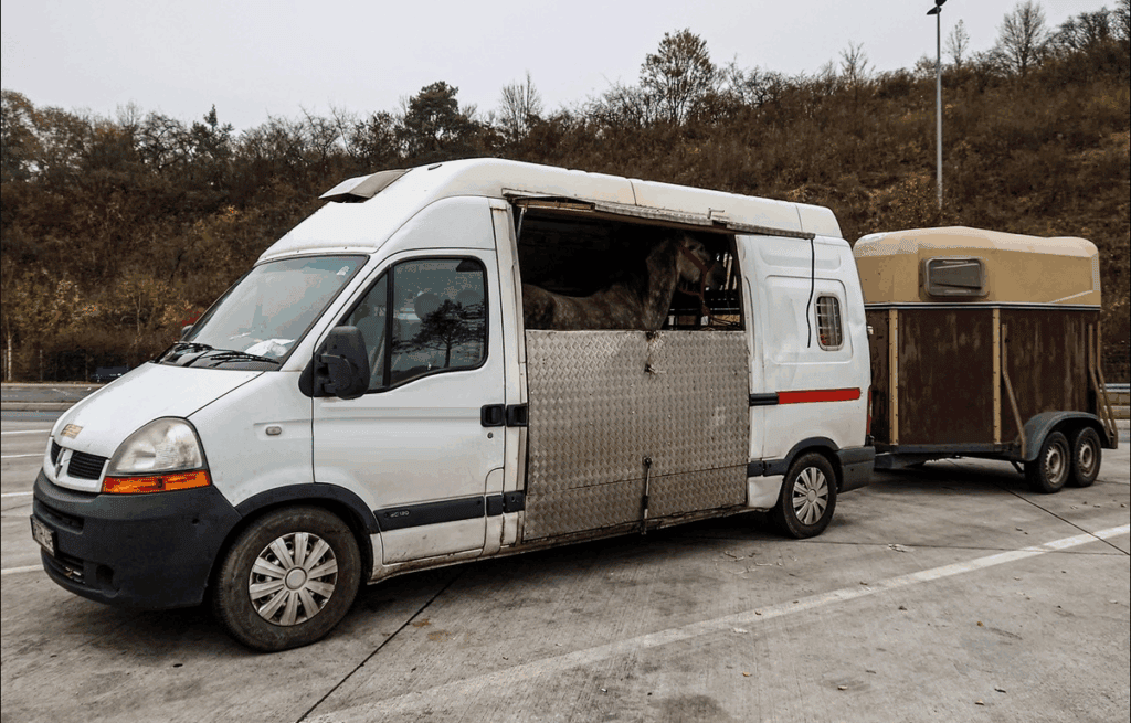 Transporter mit Pferdeanhänger auf Parkplatz